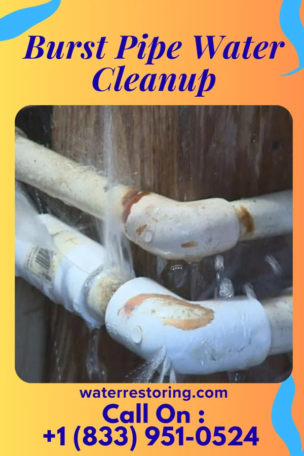 Burst Pipe Water Cleanup in New Jerusalem, PA