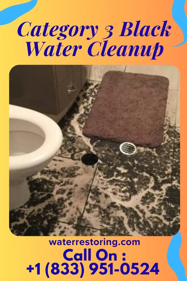 Category 3 Black Water Cleanup in New Jerusalem, PA