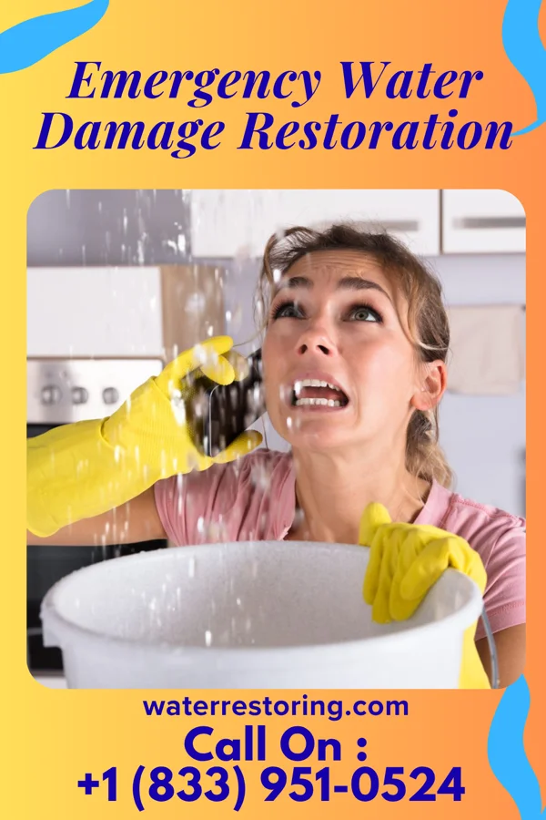 Emergency Water Damage Restoration in New Jerusalem, PA