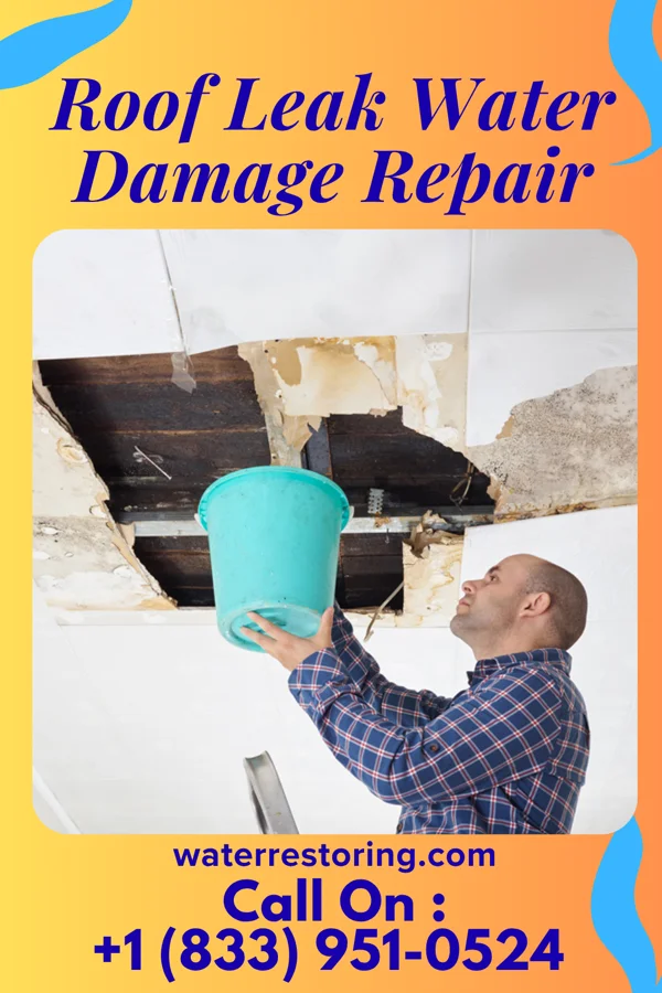 Roof Leak Water Damage Repair in New Jerusalem, PA