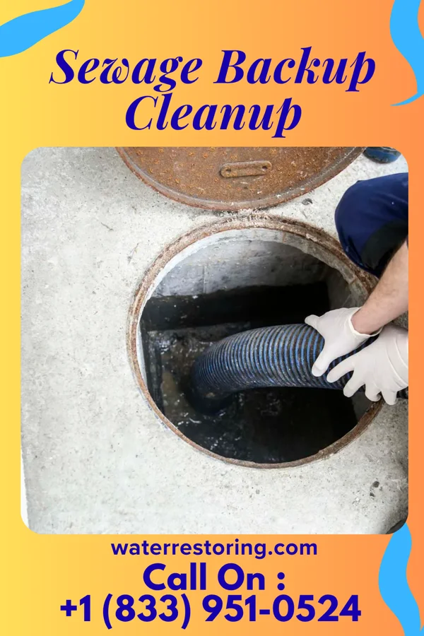 Sewage Backup Cleanup in New Jerusalem, PA
