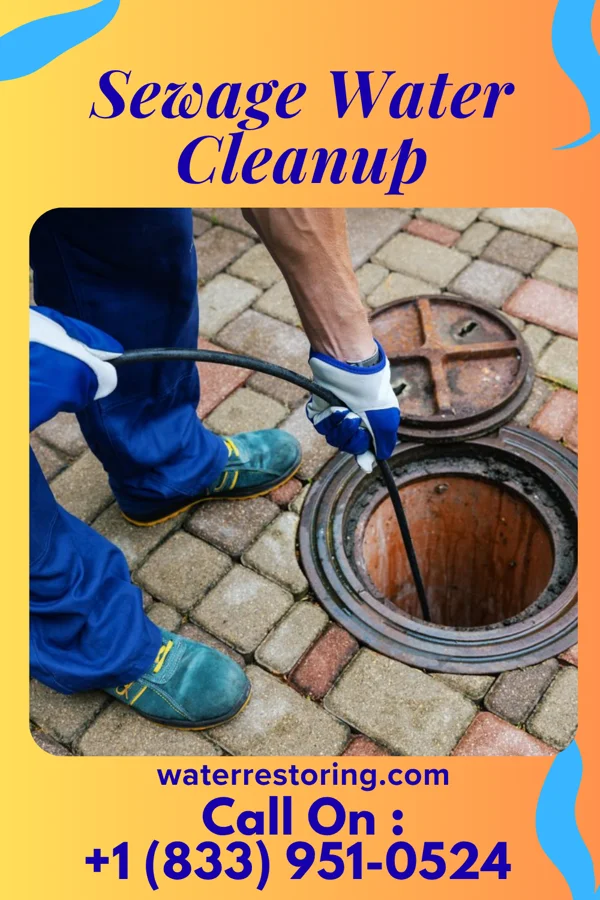 Sewage Water Cleanup in New Jerusalem, PA