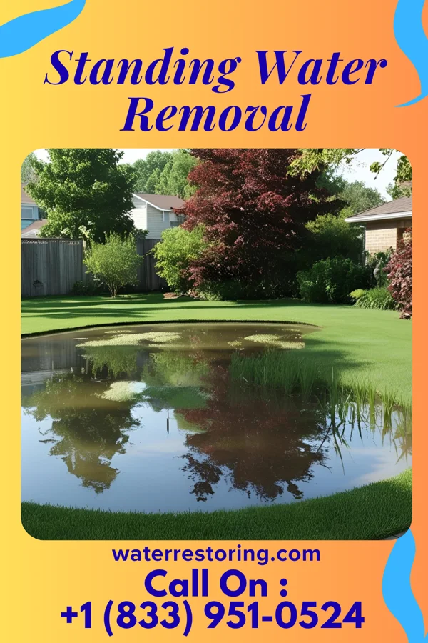 Standing Water Removal in New Jerusalem, PA